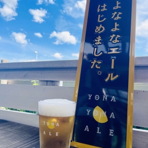 キリンクラフト・よなよなエール